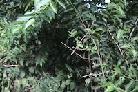 img22
