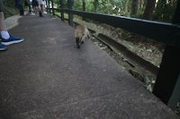 img27