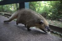 img28