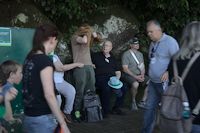 img50