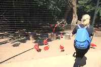 img74
