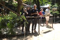 img77