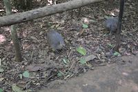img90