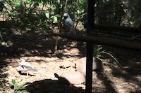 img92
