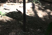 img93