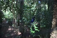 img94