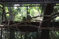 img95