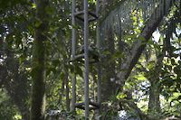 img97