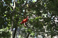 img98