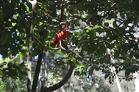 img99