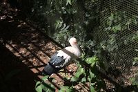 img100