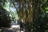 img107