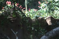 img109