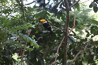 img111