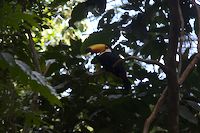 img112