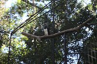 img114