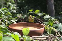 img123