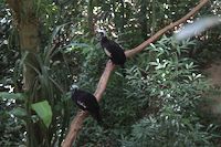 img125