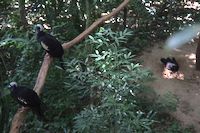 img126