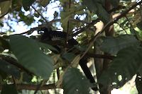 img127