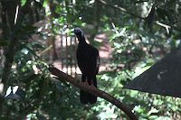 img128