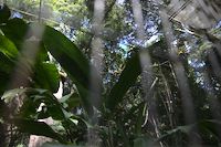 img129