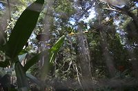 img130