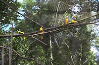 img131
