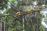 img132