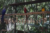 img141