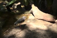 img146