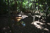 img147