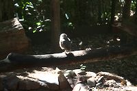 img148