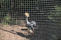 img150