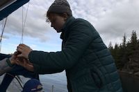 img185