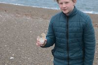 img267