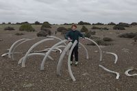 img271