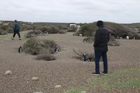 img278