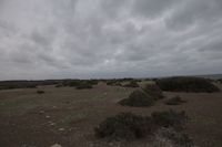img285