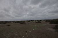 img286