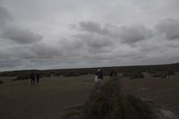 img290