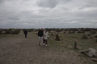 img301