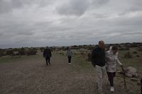 img302