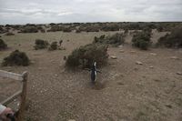 img303