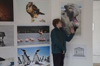 img312
