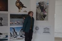 img314