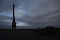img319