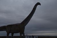 img323