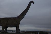 img324