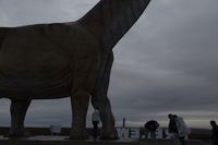 img325